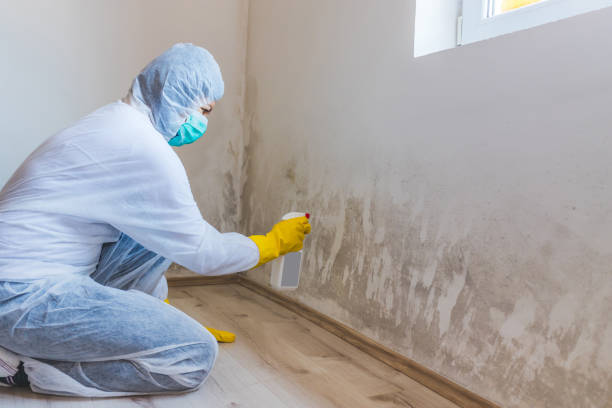 Mold Remediation specialist working in Miami Beach